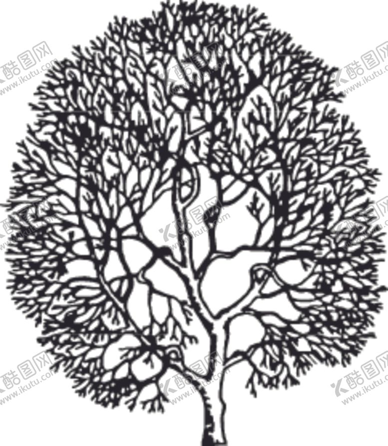 编号：46629310262123143314【酷图网】源文件下载-植物系列大树树干