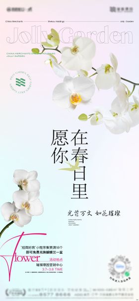 女神节蝴蝶兰海报