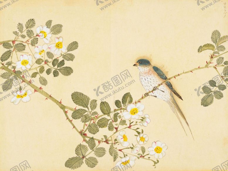 编号：71036809212205206895【酷图网】源文件下载-余曾三国画 百花鸟图