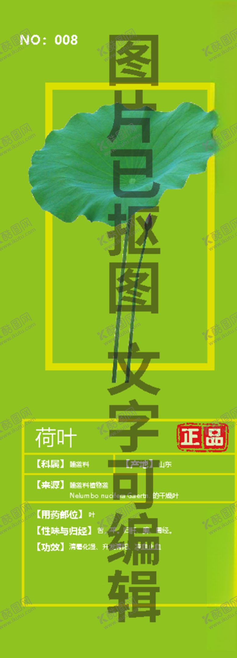 编号：26692006181202205392【酷图网】源文件下载-荷叶