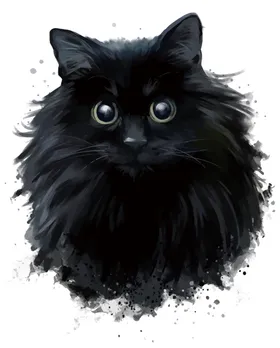 手绘卡通猫图片设计哇伊插画可爱小咪
