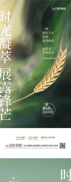 芒种24节气节日海报
