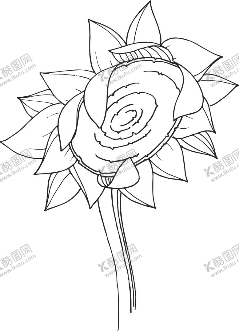 编号：96168212131348566342【酷图网】源文件下载-白描植物