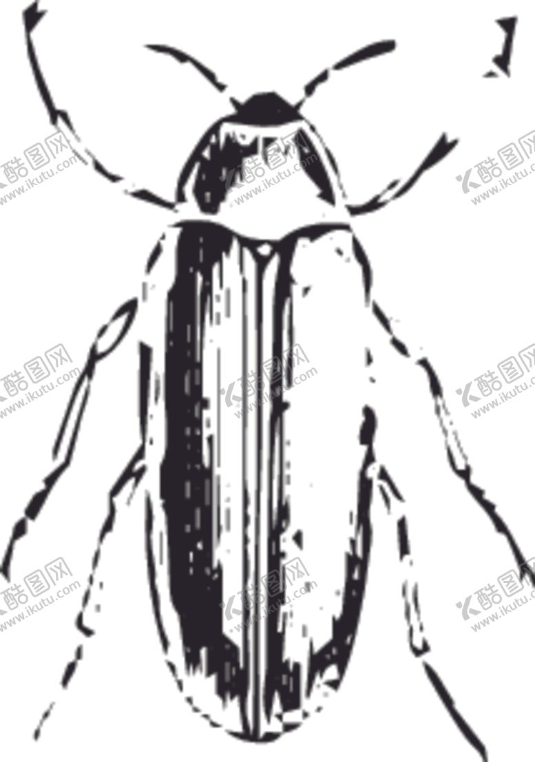 编号：87078810042212554131【酷图网】源文件下载-自然昆虫标本插画