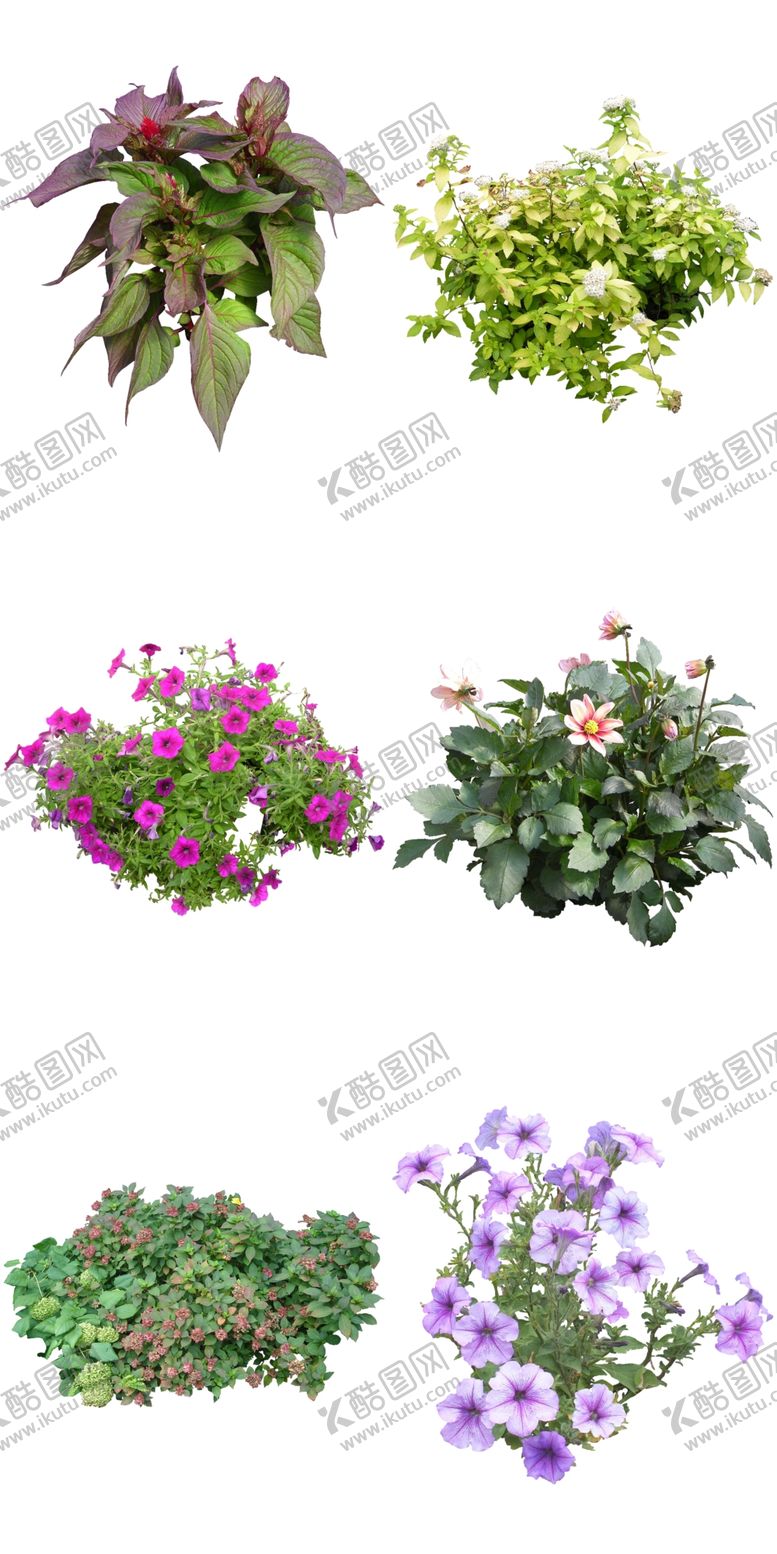 编号：26049912090128148316【酷图网】源文件下载-公园多花花卉