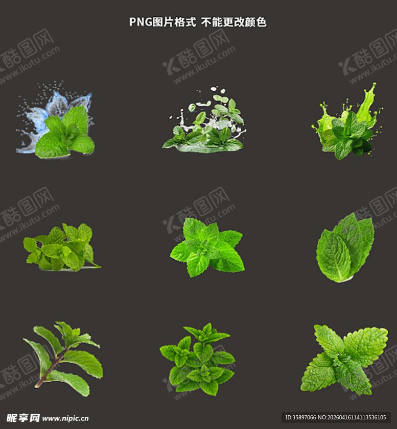 编号：57767804212247068253【酷图网】源文件下载-薄荷素材