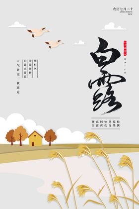 白露节日传统海报素材