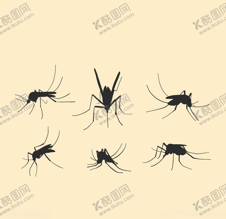 编号：51419309201716338760【酷图网】源文件下载-蚊子剪影