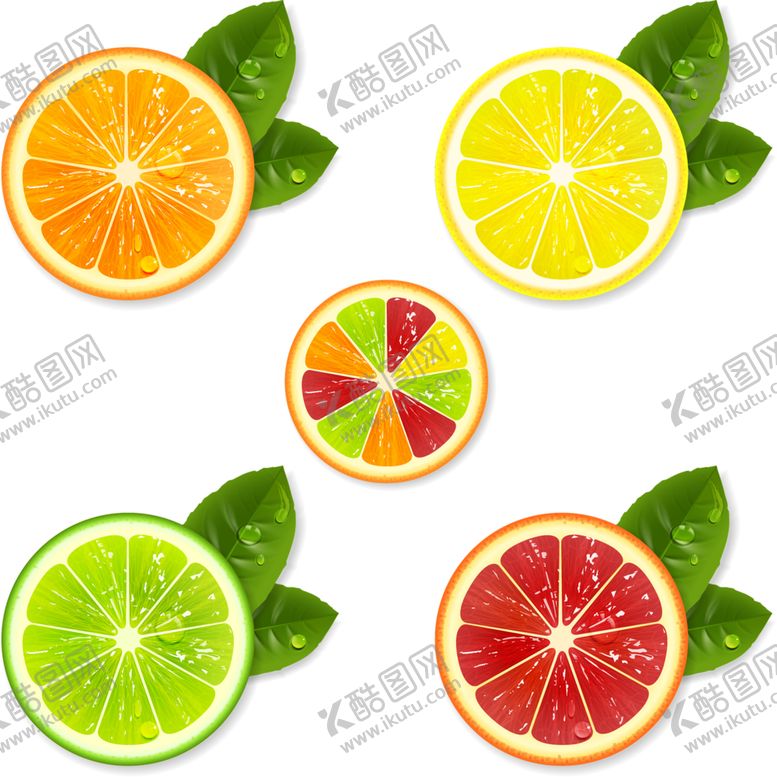 编号：29323607141436005051【酷图网】源文件下载-水果