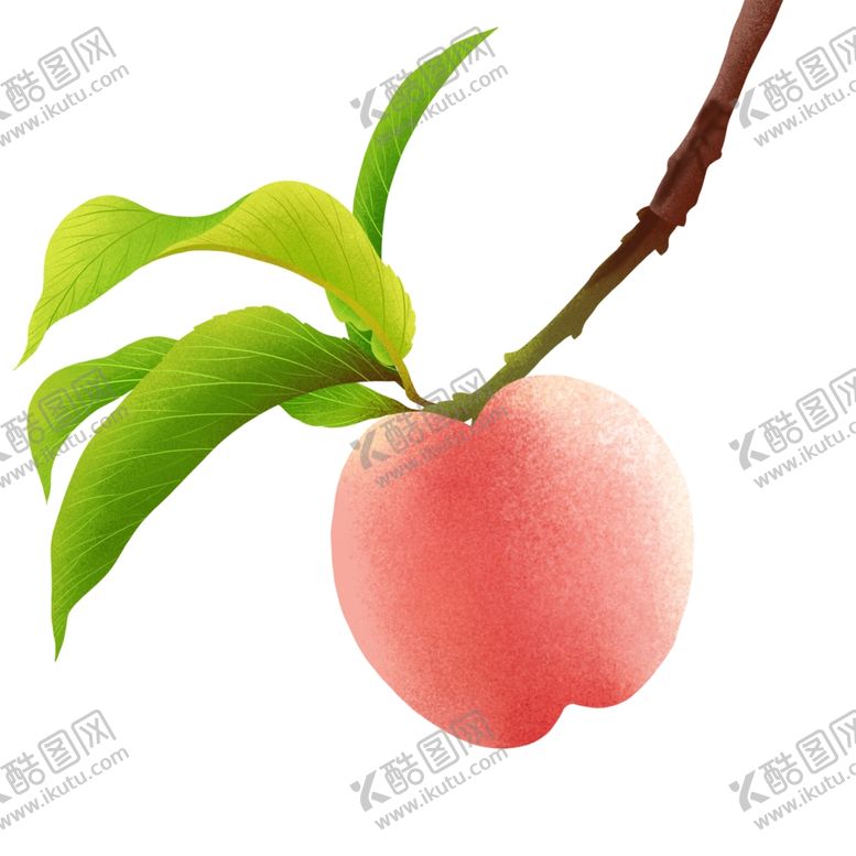 编号：31220205061954498407【酷图网】源文件下载-桃子
