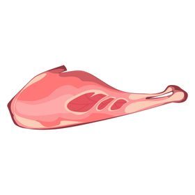 肉制品卡通禽畜类手绘