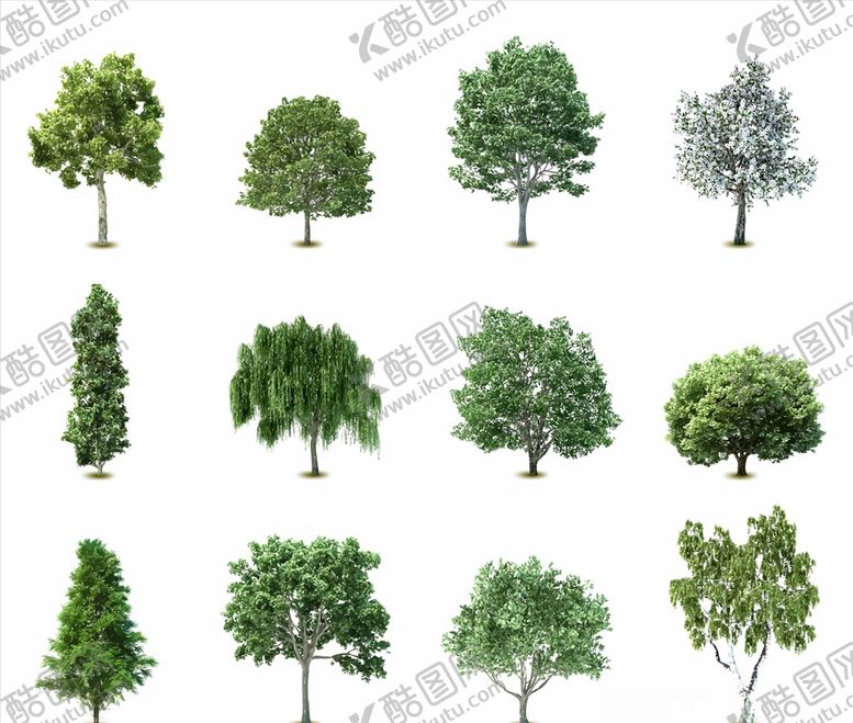 编号：59092410010051527231【酷图网】源文件下载-矢量大树