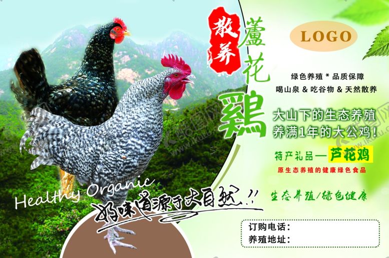 编号：11723612191516375945【酷图网】源文件下载-农家散养土鸡宣传页展示