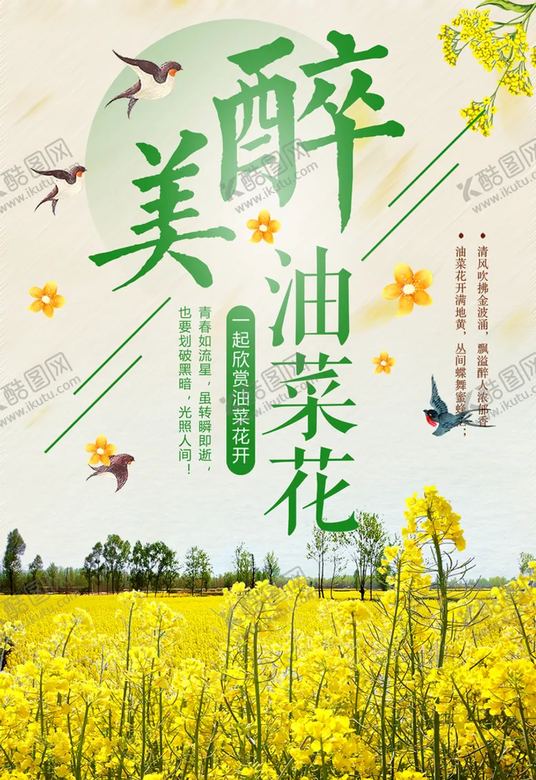 编号：89327009210314537826【酷图网】源文件下载-油菜花