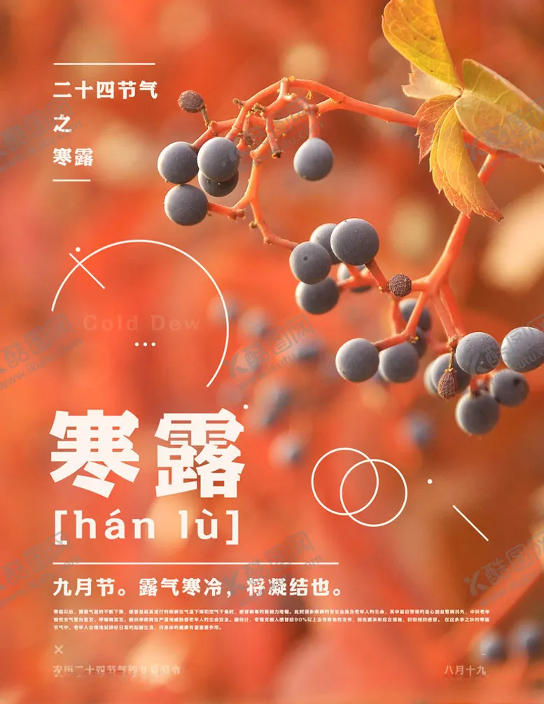 编号：48367905030603118037【酷图网】源文件下载-寒露海报