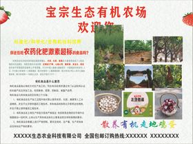 鸡蛋宣传
