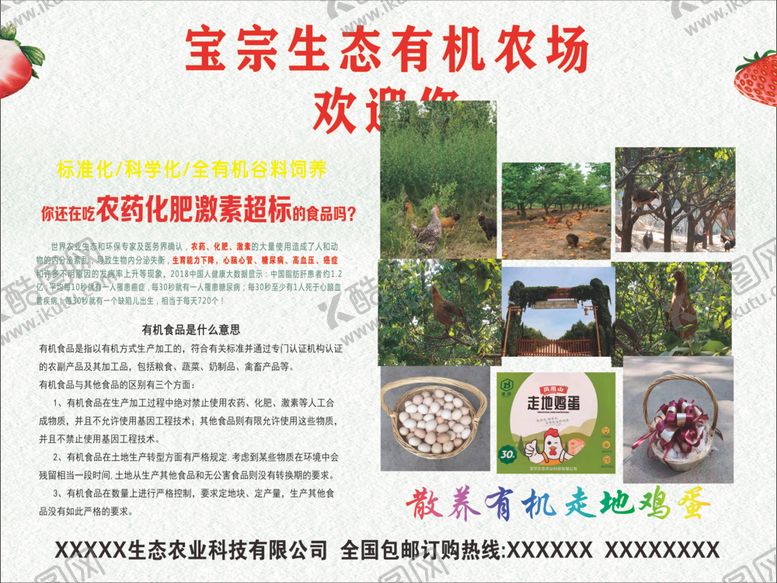 编号：77113507071229121782【酷图网】源文件下载-鸡蛋宣传