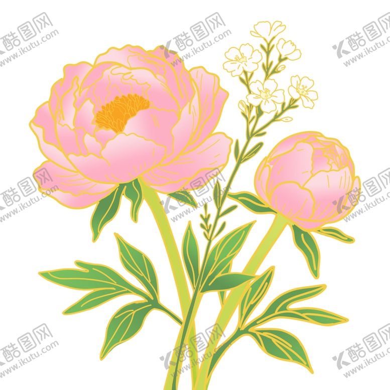 编号：13182504221529273930【酷图网】源文件下载-粉色芍药花卉插画