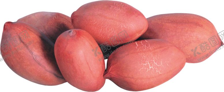 编号：72583811011620285917【酷图网】源文件下载-花生