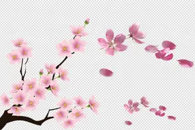 桃花花瓣