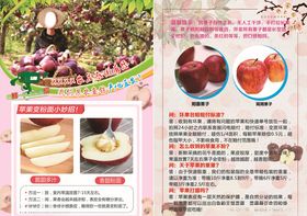 花牛彩页