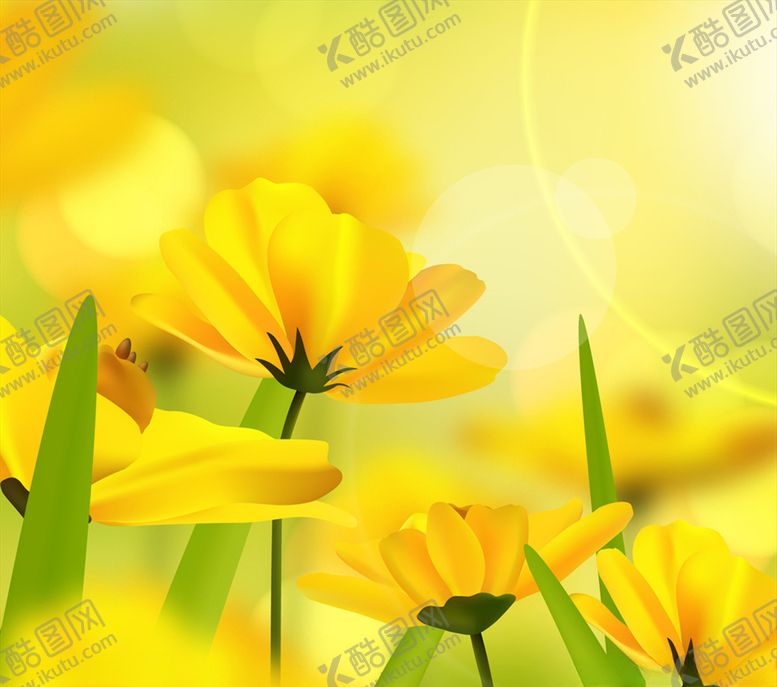 编号：63656510040630366431【酷图网】源文件下载-美丽阳光下的黄色花卉