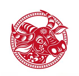 牛年