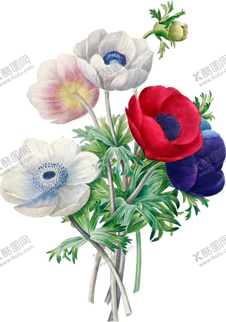 编号：80034601251317037004【酷图网】源文件下载-英式复古玫瑰花卉艺术装饰PNG