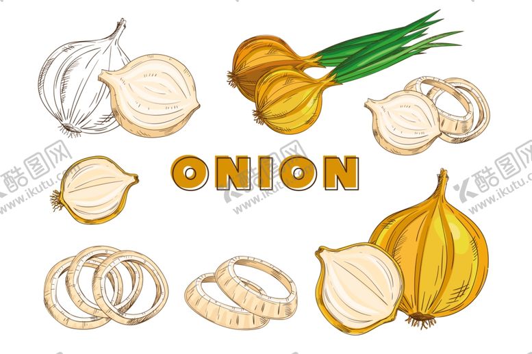 编号：56098410112323127084【酷图网】源文件下载-矢量蔬菜