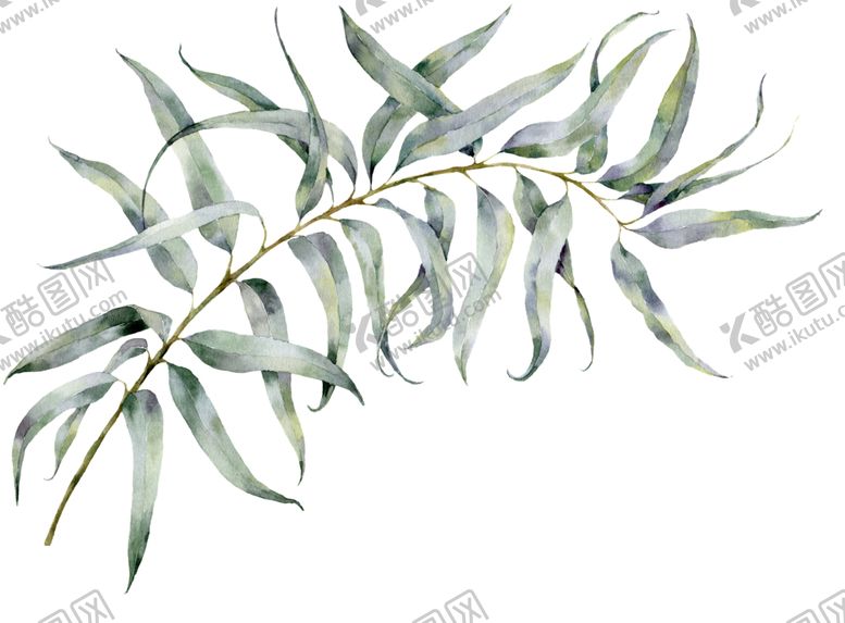 编号：96000507030437274599【酷图网】源文件下载-植物花朵装饰图案