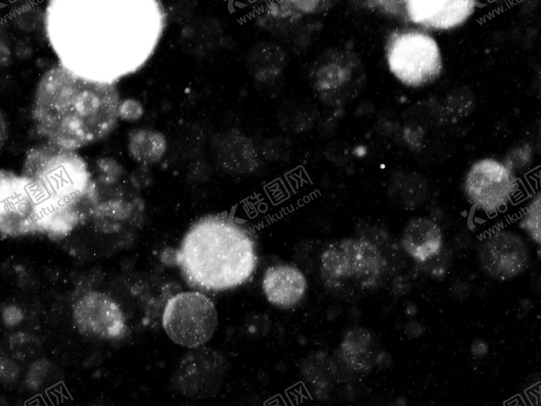 编号：10472606231930462783【酷图网】源文件下载-雪花
