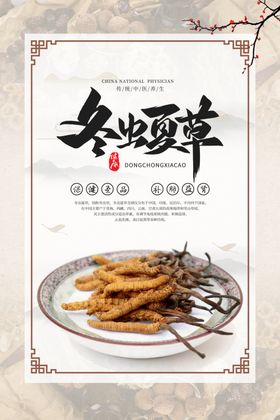 冬虫夏草养生