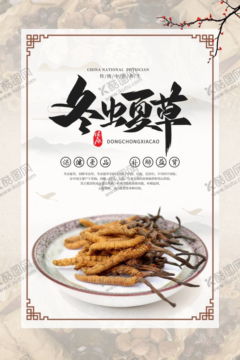 编号：28885110241648248895【酷图网】源文件下载-冬虫夏草养生