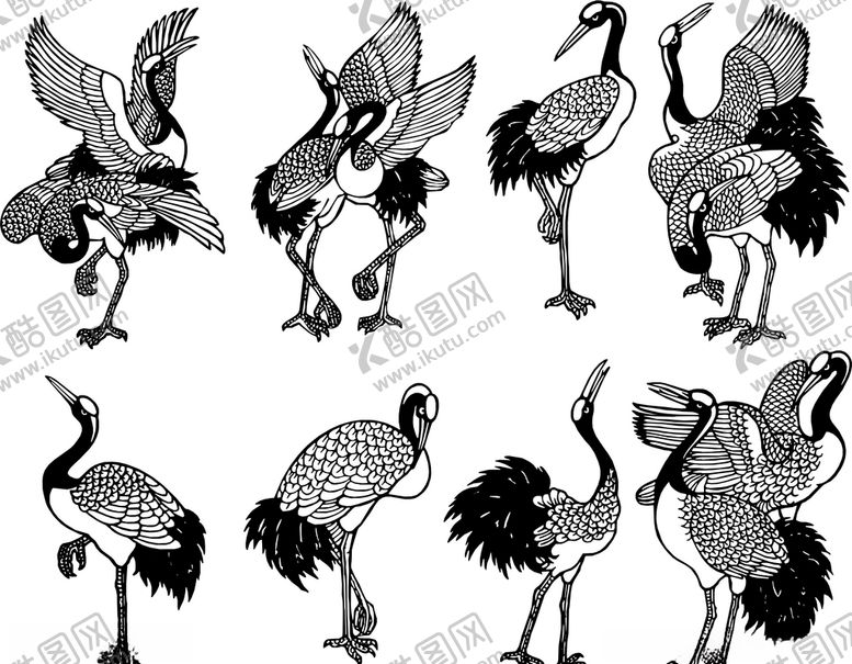 编号：13717210121611008295【酷图网】源文件下载-仙鹤矢量文件