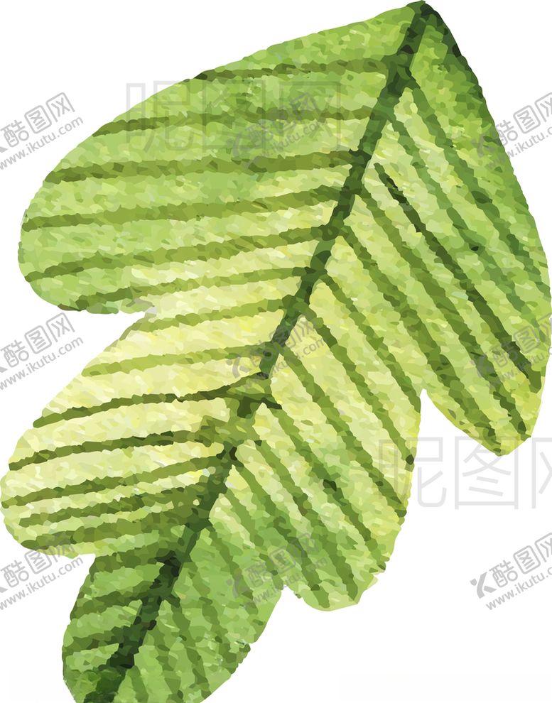 编号：16500705010015538496【酷图网】源文件下载-树叶