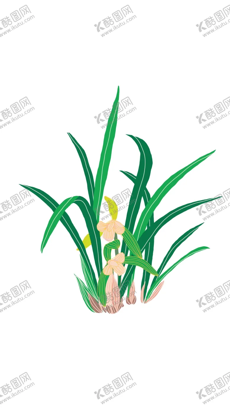 编号：46071509282255244268【酷图网】源文件下载-手绘兰花