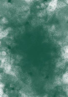 墨迹菌斑