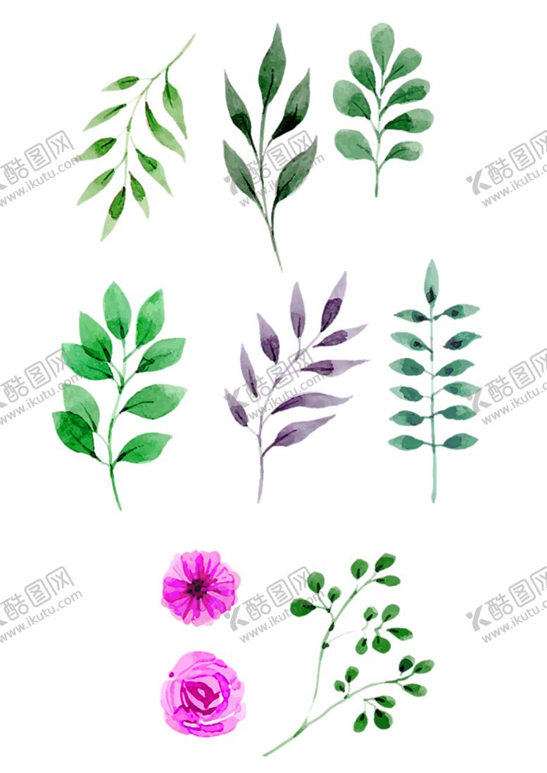 编号：51646205090536205105【酷图网】源文件下载-鲜花素材