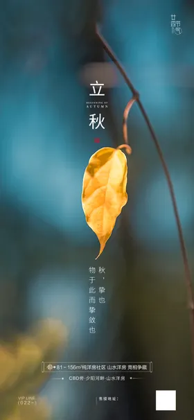 立秋宣传单画册节气海报
