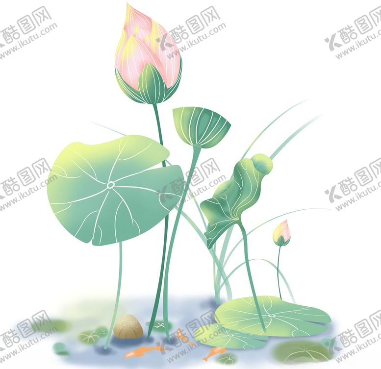 编号：57447109220119139473【酷图网】源文件下载-荷花莲蓬素材