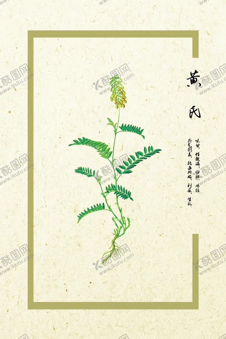 编号：91649706270942031059【酷图网】源文件下载-黄芪