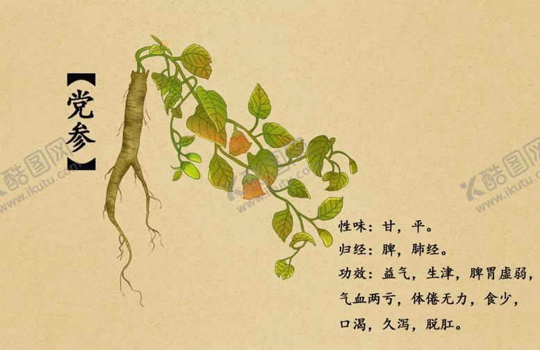 编号：46858802260316035733【酷图网】源文件下载-药材图谱
