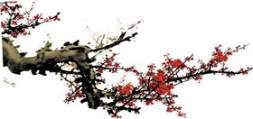 一枝梅