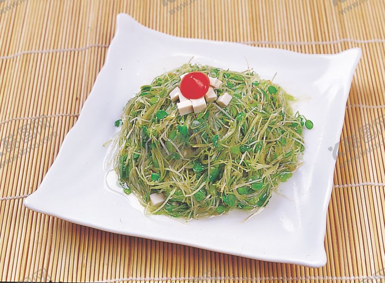 编号：56355810230859328032【酷图网】源文件下载-家常菜美食