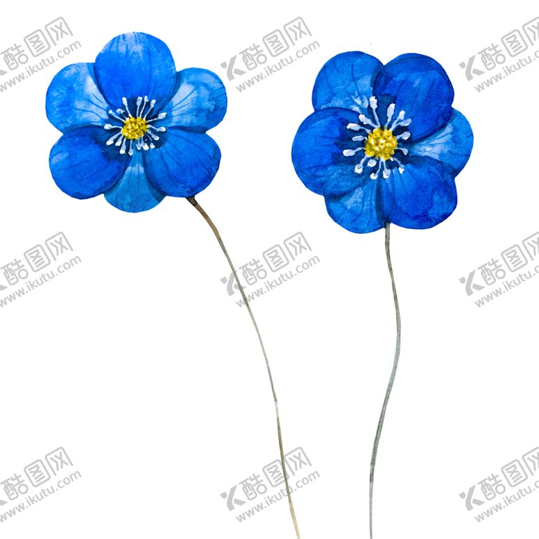 编号：36401407030255515471【酷图网】源文件下载-手绘植物