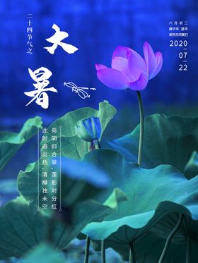 大暑设计图气氛H5海报