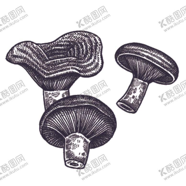 编号：82763909150917402258【酷图网】源文件下载-餐饮食物插画元素
