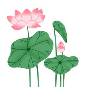 荷花莲素材莲设计莲底纹莲logo