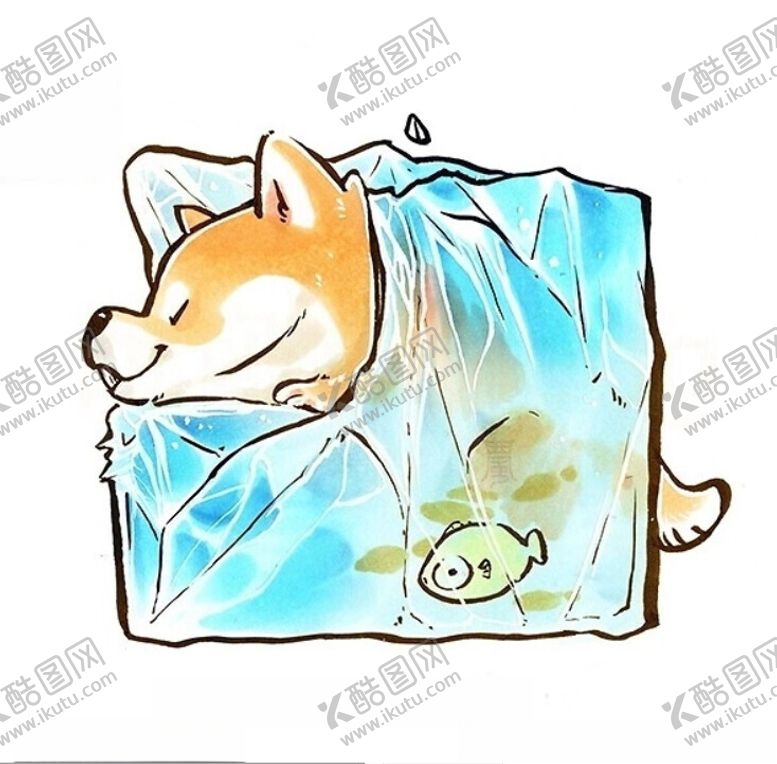 编号：13836002220010121063【酷图网】源文件下载-柴犬