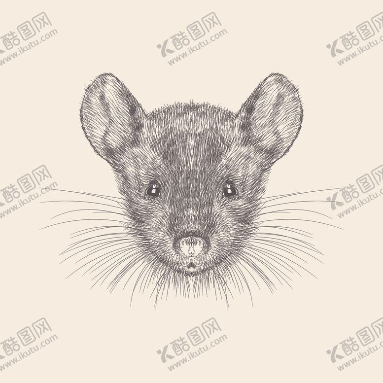 编号：58131010311343358026【酷图网】源文件下载-动物铅笔画